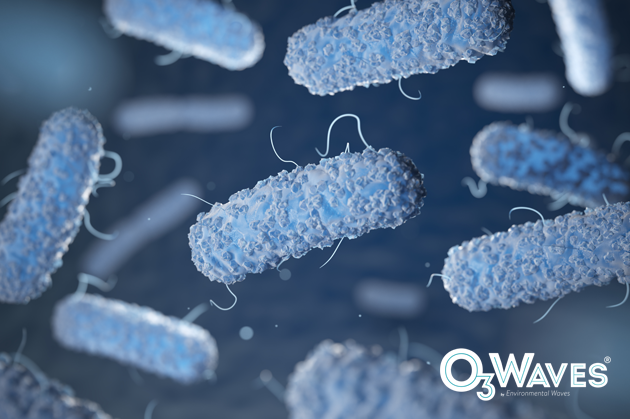 O3WAVES - eliminación de Legionella